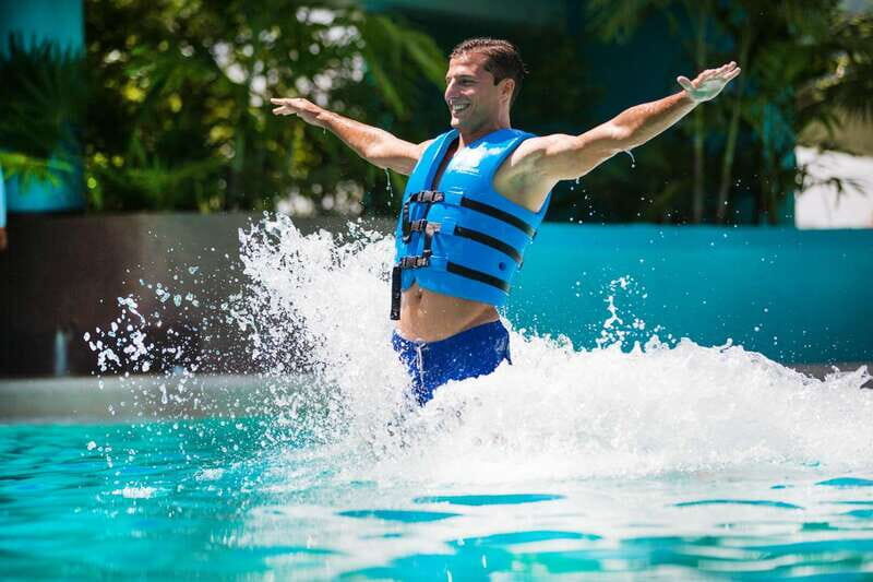 Cancun: Interactive Aquarium - Swim with dolphins Premium - An In-Depth Look at the Dolphin Encounter Experience