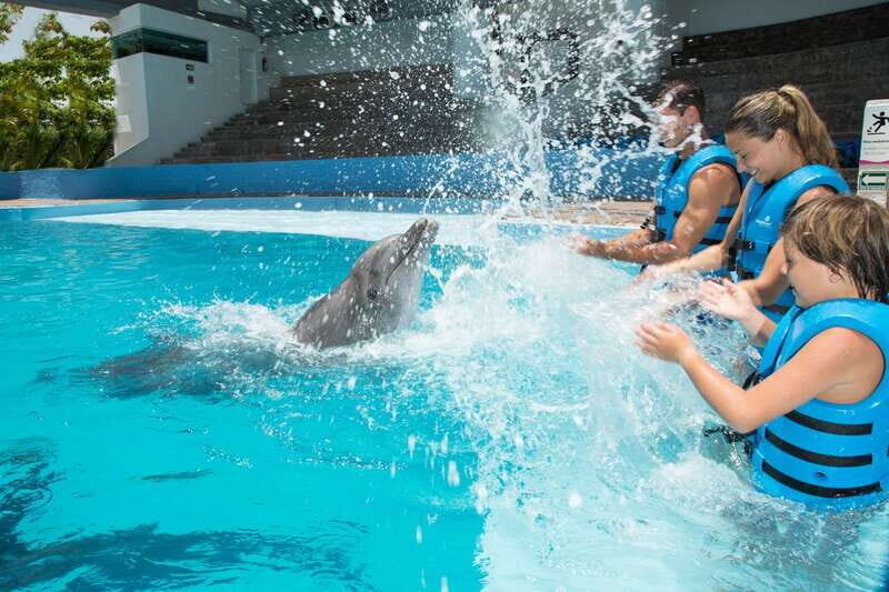 Cancun: Interactive Aquarium - Swim with dolphins Premium - Final Thoughts