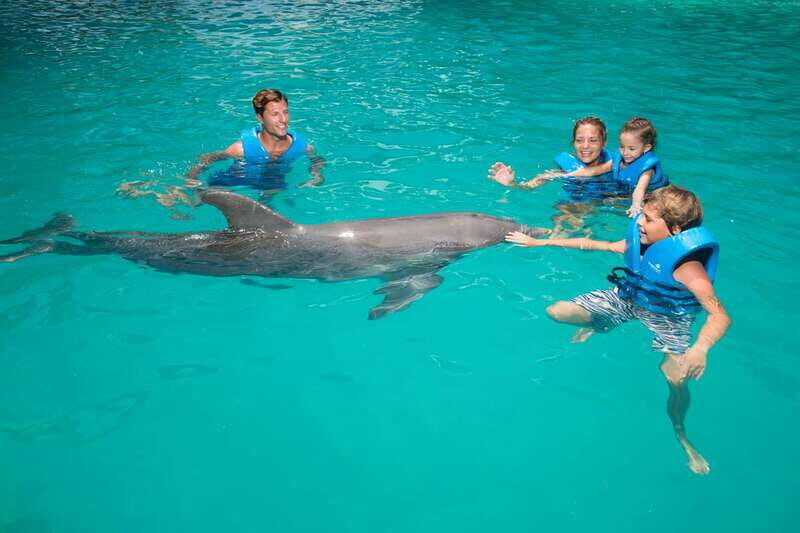 Cancun: Interactive Aquarium - Swim with dolphins Premium - Frequently Asked Questions (FAQs)