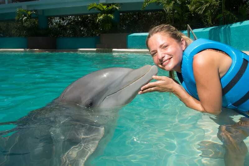 Cancun: Interactive Aquarium - Swim with Dolphins Splash - Practical Tips Before You Go