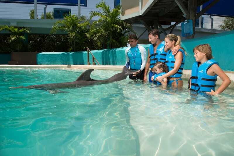 Cancun: Interactive Aquarium Ticket and Swim with Dolphins - The Sum Up