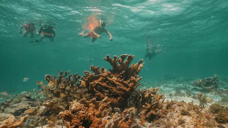 Cancun: Isla Mujeres Adults Only Party Catamaran with Drinks - What Do You Get?