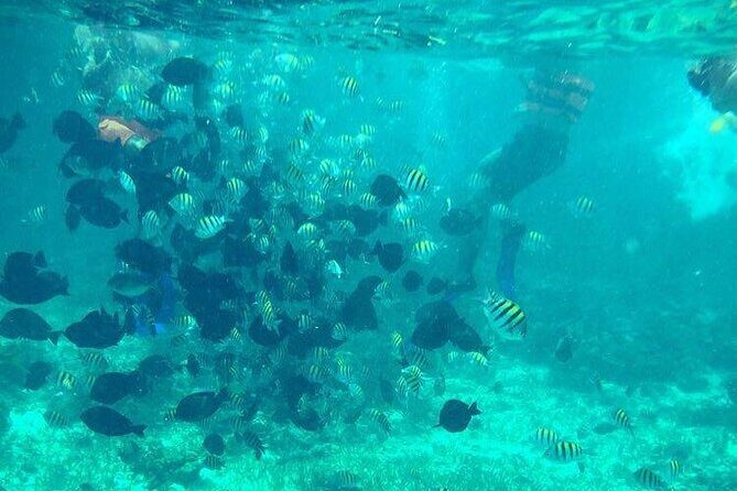 Cancun Jetski and Snorkel Adventure - What to Expect at the Meeting Point and During the Tour