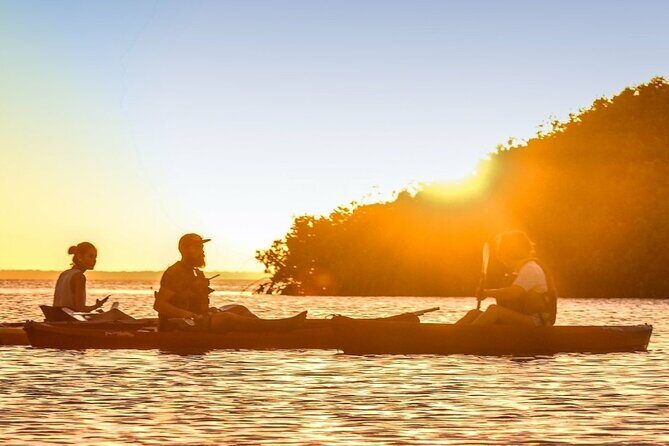 Cancun Lagoon Sunrise Kayak Adventure - A Closer Look at the Itinerary