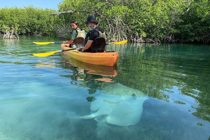 Cancun Lagoon Sunrise Kayak Adventure - The Experience From a Traveler’s Perspective