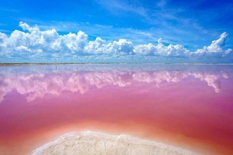 Cancun: Las Coloradas and Río Lagartos Private Tour - Who Is This Tour Best For?