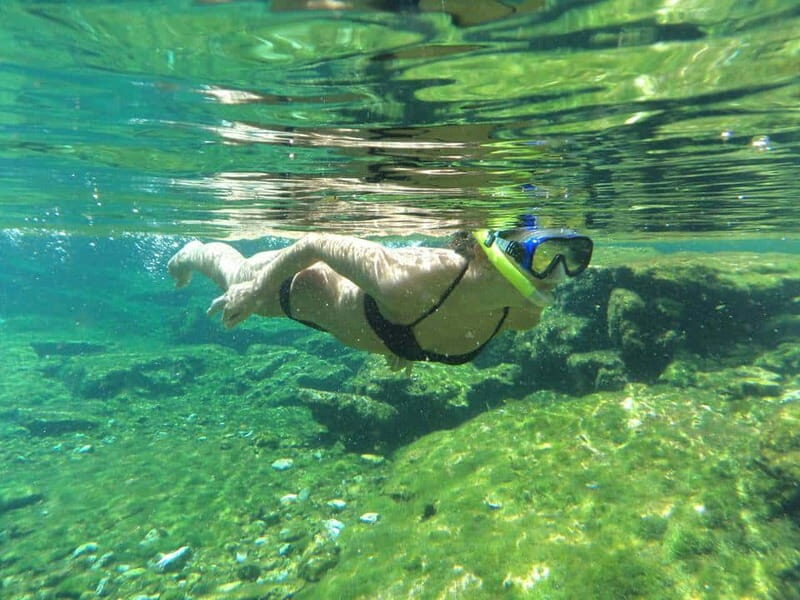 Cancun: Marine Turtle Observation in Akumal - Final Thoughts: Is This Tour Right for You?