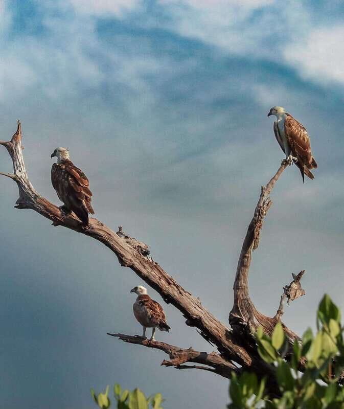 Cancun: Morning Kayak Adventure - FAQ