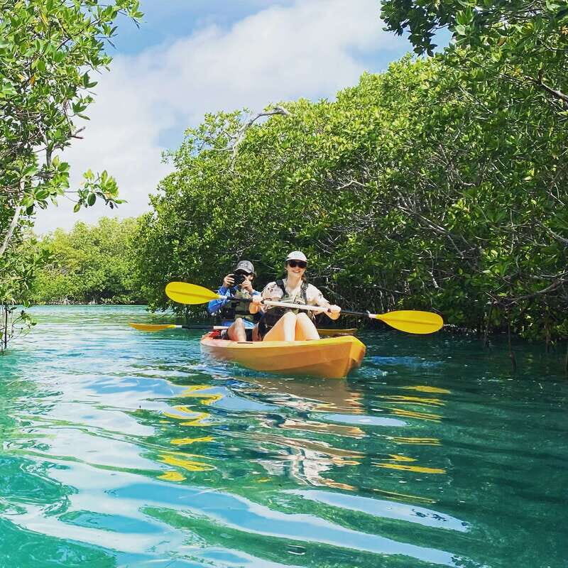 Cancún: Morning or Sunset Kayak Adventure in Nichupte Lagoon - The Experience for Different Travelers