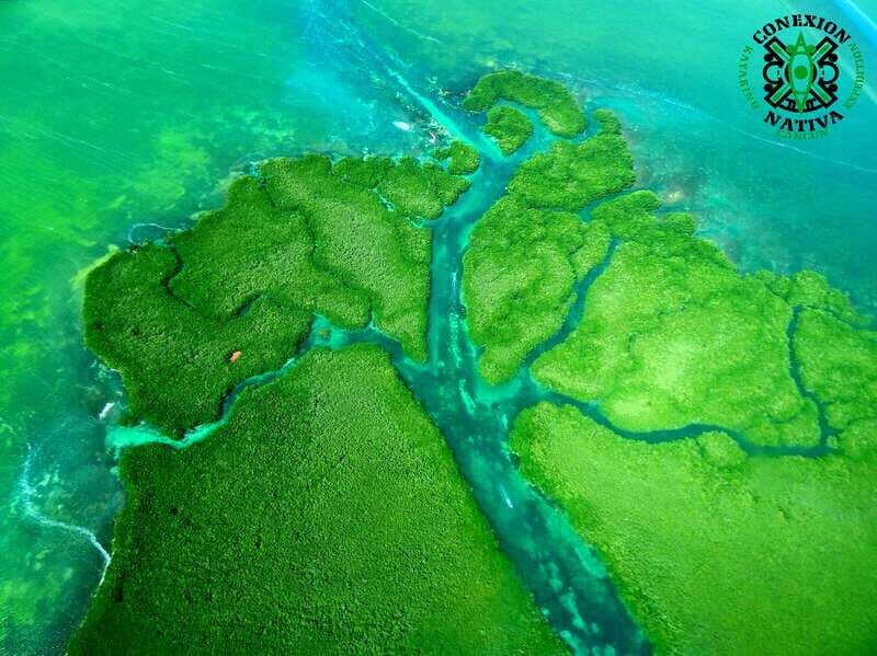 Cancún: Morning or Sunset Kayak Adventure in Nichupte Lagoon - Who Should Consider This Tour?