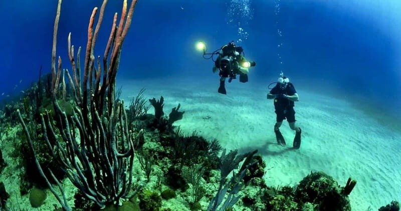 Cancun or Isla Mujeres Reef Diving for Beginners - Who Should Consider This Tour?
