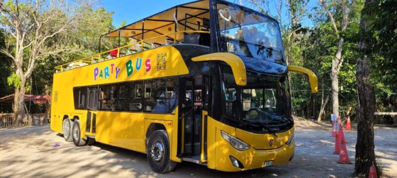 Cancun: Private 3 Hour Party Bus Experience - The Value for Your Money