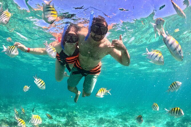 Cancun Private Catamaran Cruise Open Bar & Snorkeling Experience - Who Is This Tour Best For?