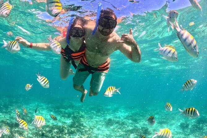 Cancún Private Catamaran to Isla Mujeres with Snorkeling & Lunch - What the Tour Includes and What It Means for You