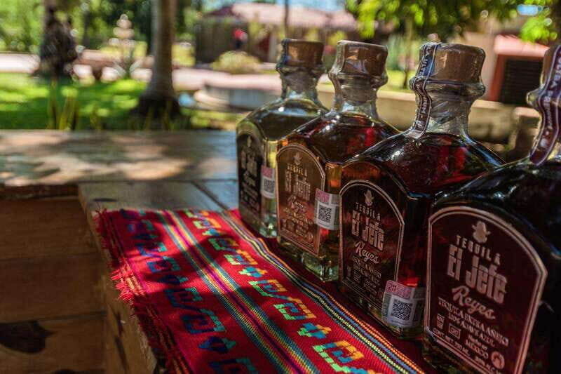 Cancun: Private Chichen Itza Tour, Cenote Swim, & Lunch - What Do Travelers Say?