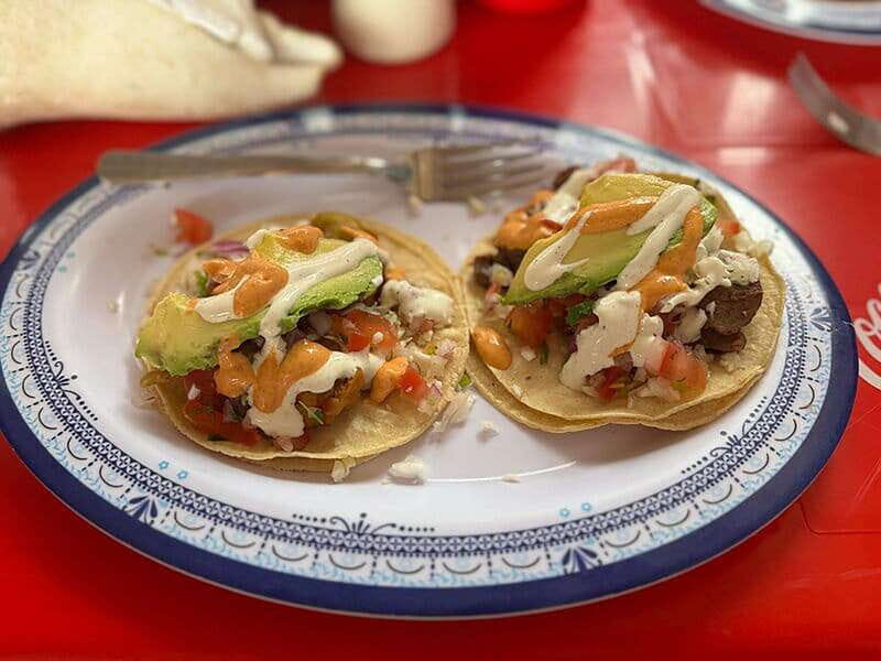 Cancún: Puerto Morelos City & Taco Tour - An Honest Look at What This Tour Offers