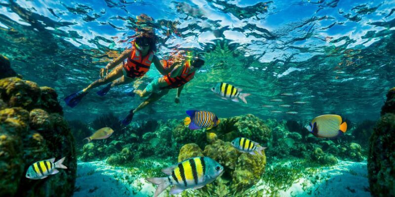Cancún: Puerto Morelos Reef Snorkeling Tour & Seaside Lunch - The Itinerary in Detail