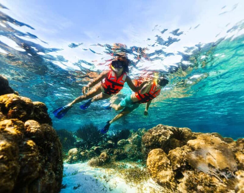 Cancún: Puerto Morelos Reef Snorkeling Tour & Seaside Lunch - Who Would Enjoy This Tour?