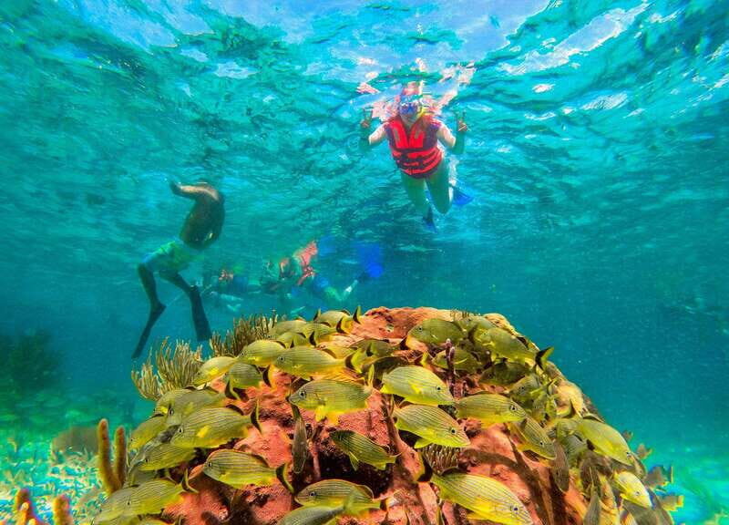 Cancún: Puerto Morelos Reef Snorkeling Tour & Seaside Lunch - FAQ