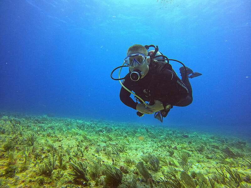 Cancun: Scuba Diving for Certified Divers, 3 options to dive - Exploring the Three Dive Options in Detail