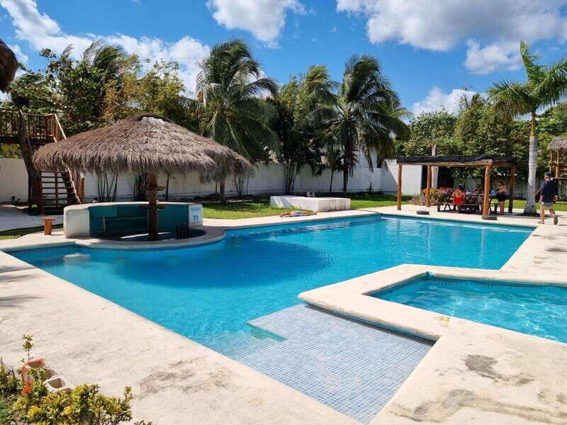 Cancun: Scuba Diving in Puerto Morelos for Beginners 2 Dives - Marine Life and Visibility