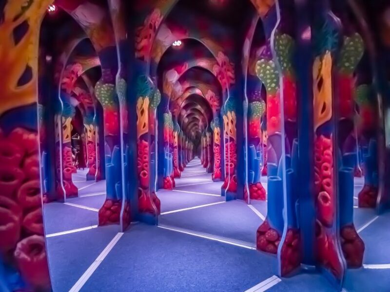 Cancún: Sky Wheel Pass GO - FAQs about the Sky Wheel Pass GO