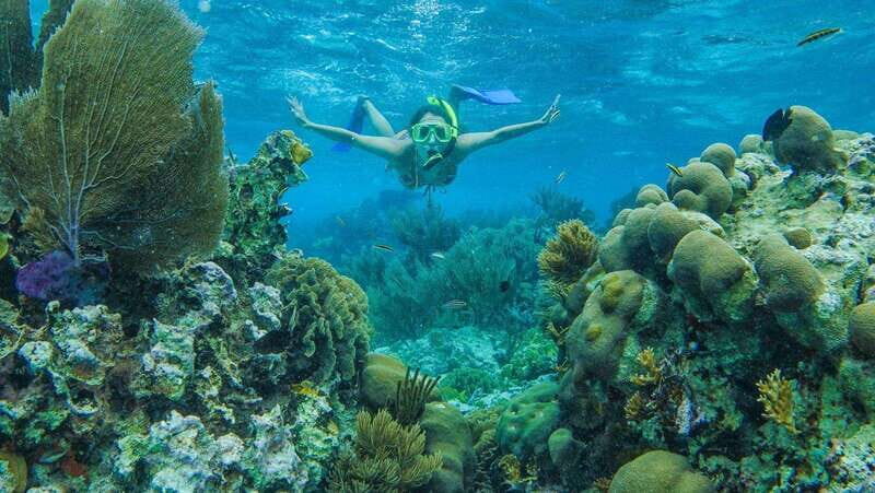 Cancun: Snorkel in MUSA Undewater Museum and Reef - What the Tour Offers