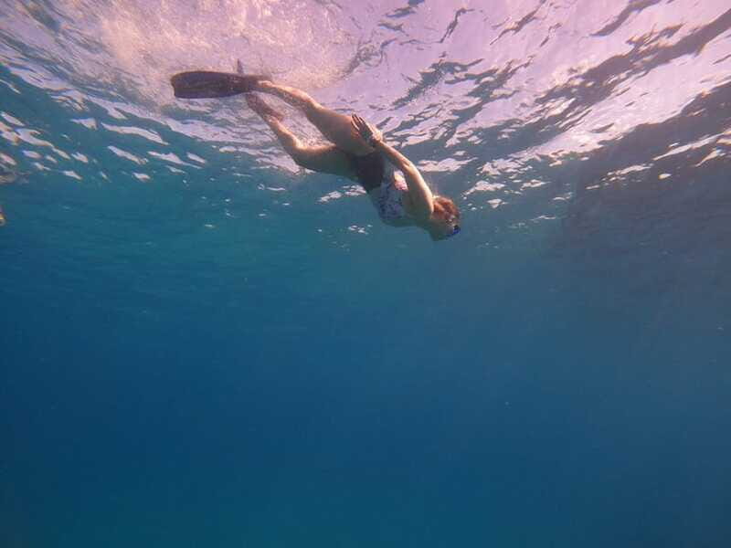 Cancun: Snorkel in MUSA Undewater Museum and Reef - Marine Life Encounters