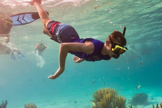 Cancun: Snorkeling Adventure at Puerto Morelos Reef - The Details of the Tour