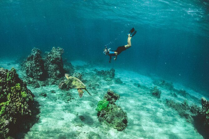 Cancun: Snorkeling Adventure at Puerto Morelos Reef - Who Should Consider This Tour?