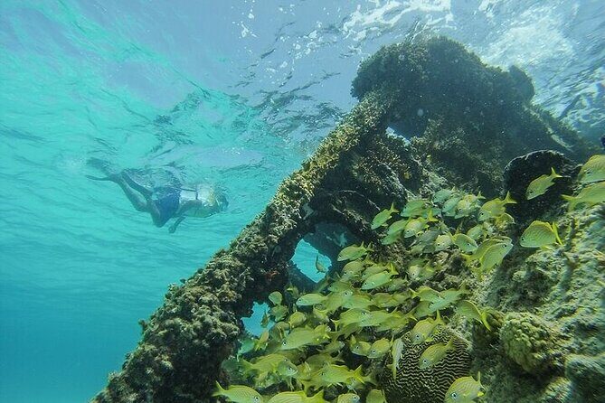 Cancun Snorkeling Adventure: Turtles, Reefs & Underwater Wonders - Who Should Consider This Tour?