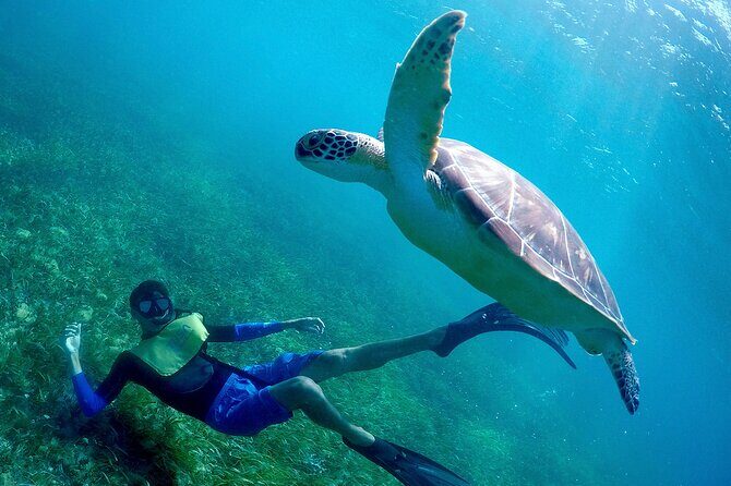 Cancun Snorkeling Adventure: Underwater Museum, Reef & Shipwreck - FAQs