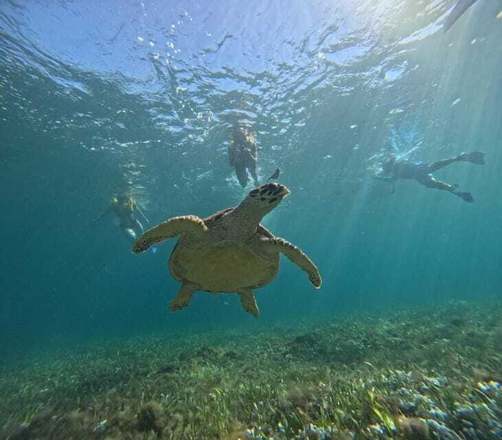 Cancun: Snorkeling Boat Tour with Gear - FAQ