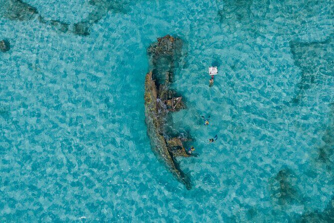 Cancun Snorkeling Tour: Swim with Turtles, Reef, Underwater Museum and Shipwreck - What’s Included and What to Expect