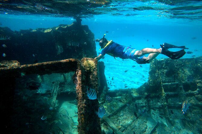 Cancun Snorkeling Tour: Swim with Turtles, Reef, Underwater Museum and Shipwreck - Practical Tips for Your Trip