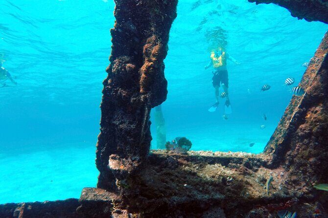 Cancun Snorkeling Tour: Swim with Turtles, Reef, Underwater Museum and Shipwreck - Who Is This Tour Best For?