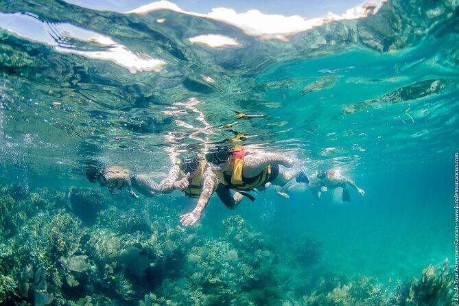 Cancun Speedboat And Snorkel Tour - Practical Tips for Your Trip