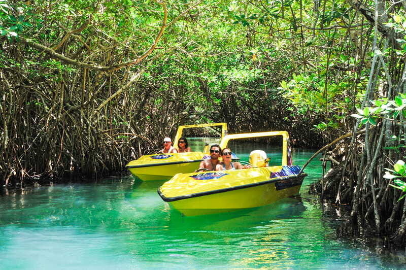 Cancun: Speedboat Mangrove Jungle & Snorkel Tour - Final Thoughts