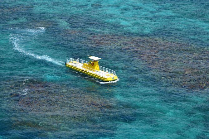 Cancun Submarine and Optional Snorkeling Tour - The Bottom Line: Is This Tour Worth It?