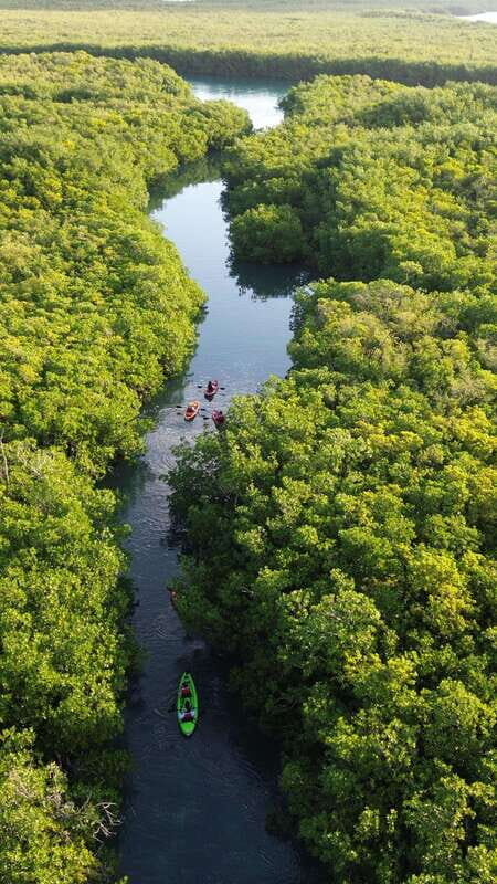 Cancun: Sunset Kayak Experience in the Mangroves - Final Words