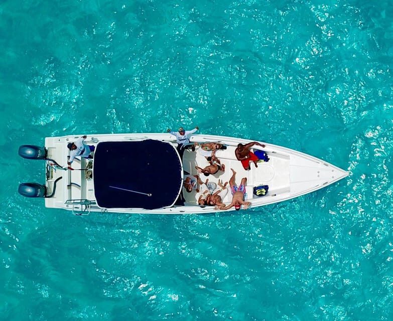 Cancún: Swim with Whale Sharks & Playa Norte Beach - What to Expect from This Tour