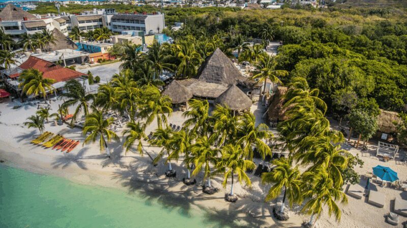 Cancún: Swim with Whale Sharks & Playa Norte Beach - Who Is This Tour Best For?