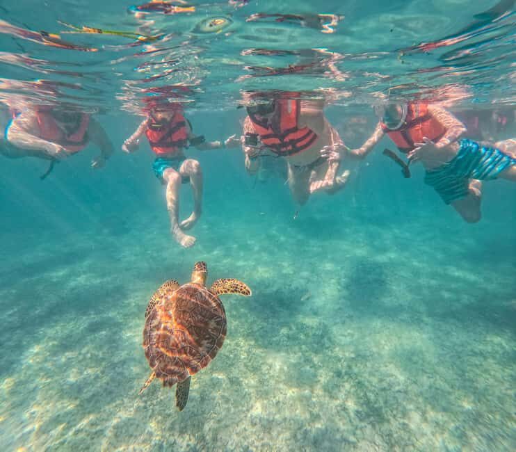 Cancun: Tulum Ruins, Akumal Turtles, Cenote & Caves Tour - A Deep Dive Into the Experience