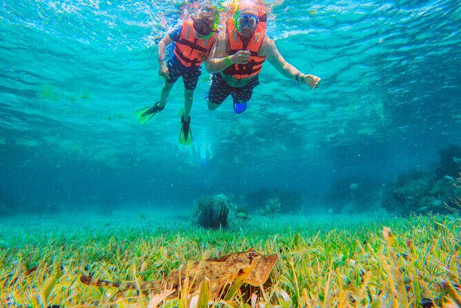 Cancun Ultimate 5x1 ATV Ziplines, Cenote, Tequila & Reef snorkel - What We Love About the Tour
