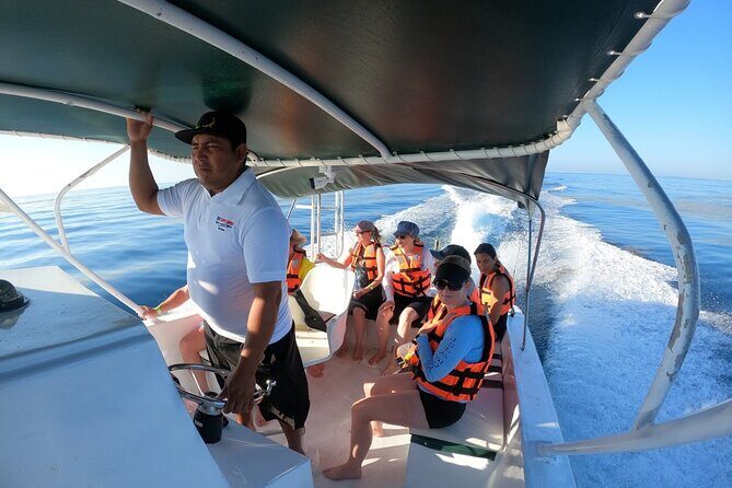 Cancun Whale Shark Experience with Snorkel & Transportation - The Practical Side: Timing, Group Size, and Value