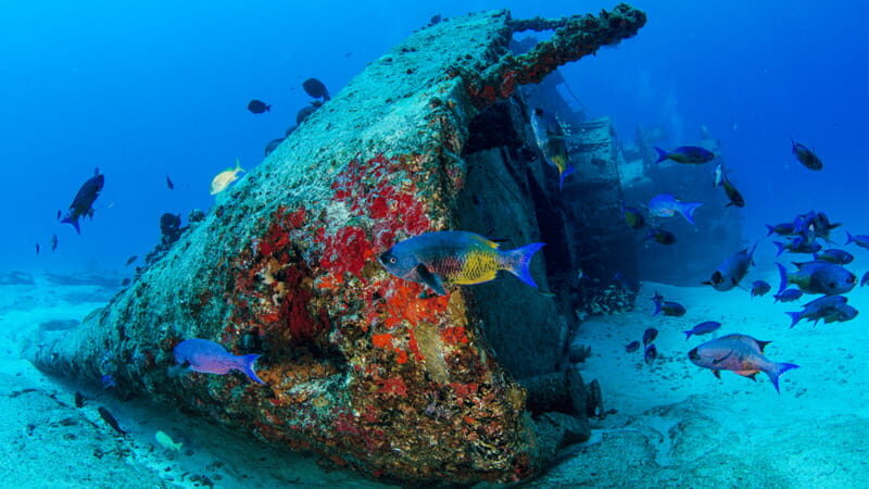 Cancún: Wreck and Reef for Certified Scuba Divers - Key Points