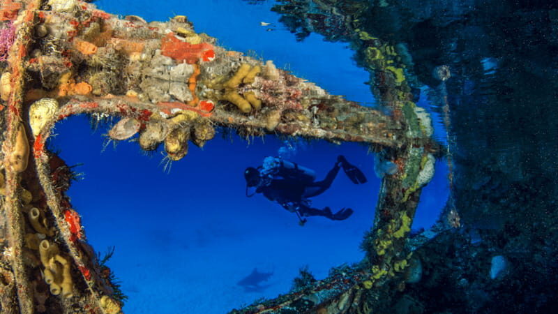Cancún: Wreck and Reef for Certified Scuba Divers - Discovering Cancún’s Underwater Treasures