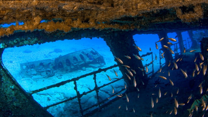Cancún: Wreck and Reef for Certified Scuba Divers - The Sum Up