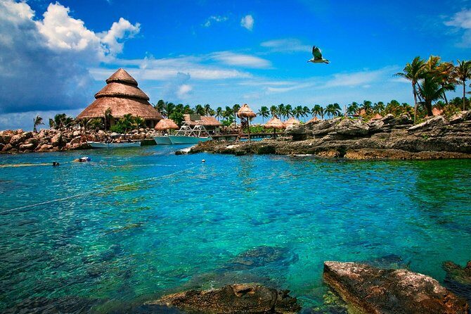 Cancun Xcaret Plus Full Day Trip with Round Trip Transport - The Experience: Pros and Cons