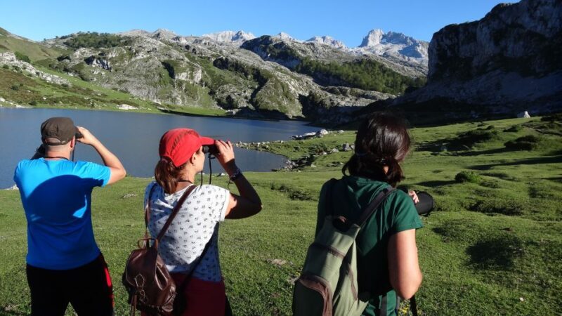 Cangas de Onís: Lakes of Covadonga Guided Tour - Key Points